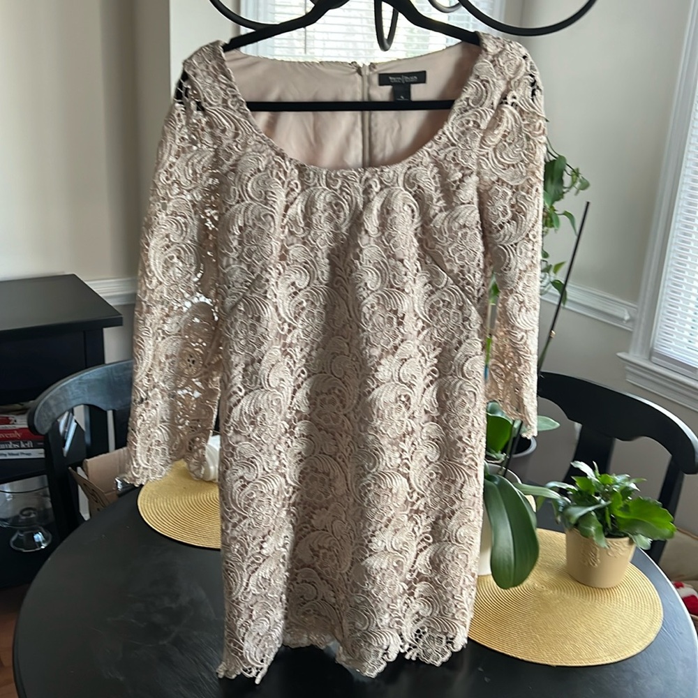 WHBM Cream Lace dress